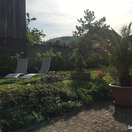 Gites Au Pied Du Haut-Koenigsbourg 坎特赞 外观 照片