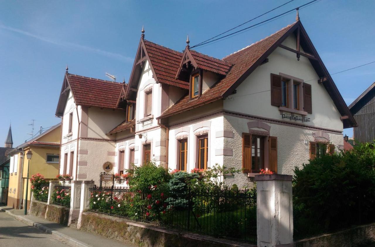 Gites Au Pied Du Haut-Koenigsbourg 坎特赞 外观 照片