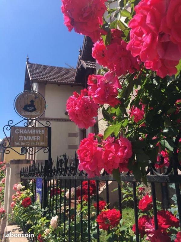 Gites Au Pied Du Haut-Koenigsbourg 坎特赞 外观 照片