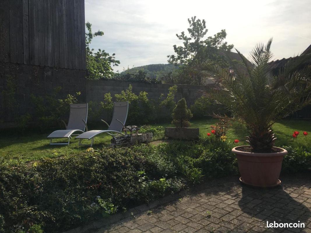Gites Au Pied Du Haut-Koenigsbourg 坎特赞 外观 照片